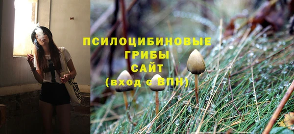 apvp Алексеевка