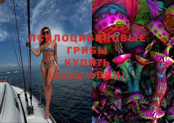 амфетамин Алексин
